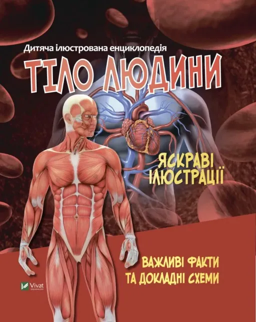 Тіло людини. Важливі факти та докладні схеми